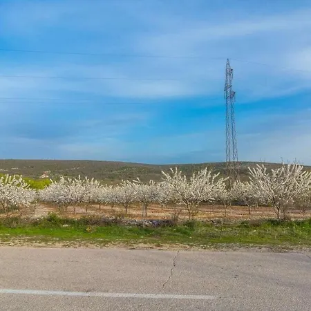 Irena Comfortable بيت للعطل بنكوفاتش