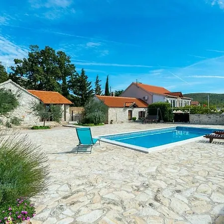 Irena Comfortable بنكوفاتش