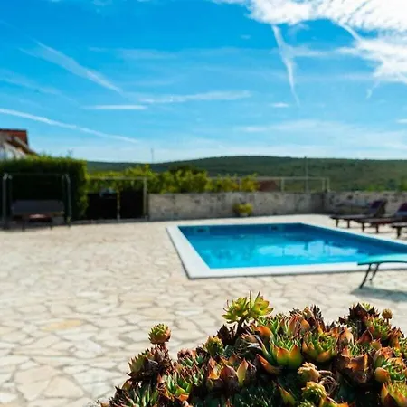 Irena Comfortable * بنكوفاتش