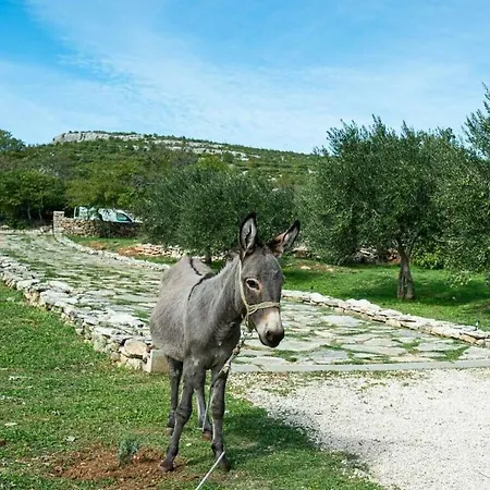 بيت للعطل Irena Comfortable بنكوفاتش