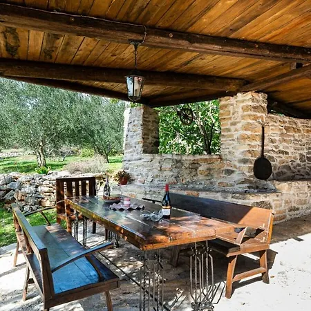 Irena Comfortable * بنكوفاتش