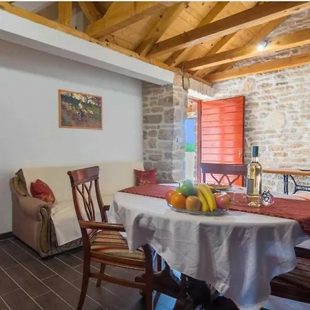 Irena Comfortable بنكوفاتش