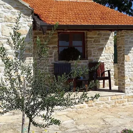 Irena Comfortable * ベンコヴァツ