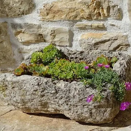 بيت للعطل Irena Comfortable بنكوفاتش