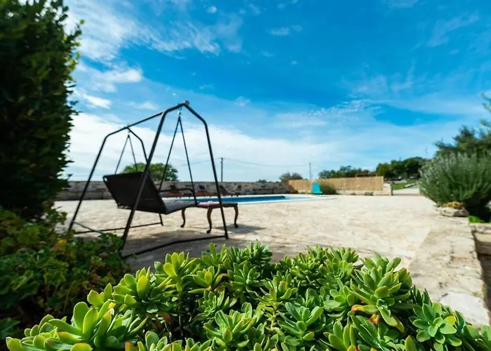 Irena Comfortable * ベンコヴァツ