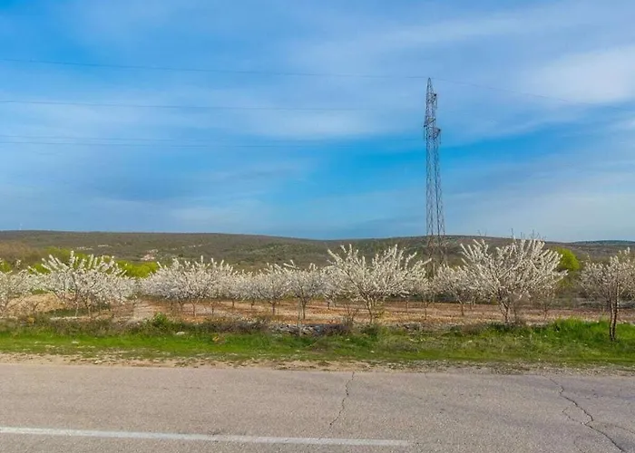 Irena Comfortable Σπίτι διακοπών Benkovac