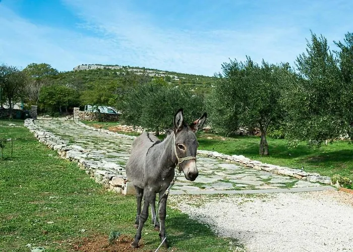 Σπίτι διακοπών Irena Comfortable Benkovac