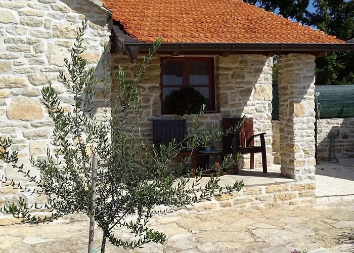 Irena Comfortable * ベンコヴァツ