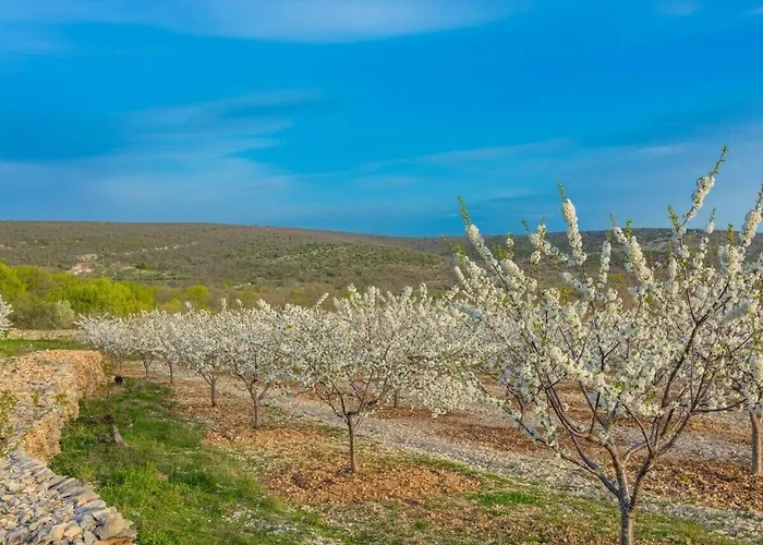 Σπίτι διακοπών Irena Comfortable