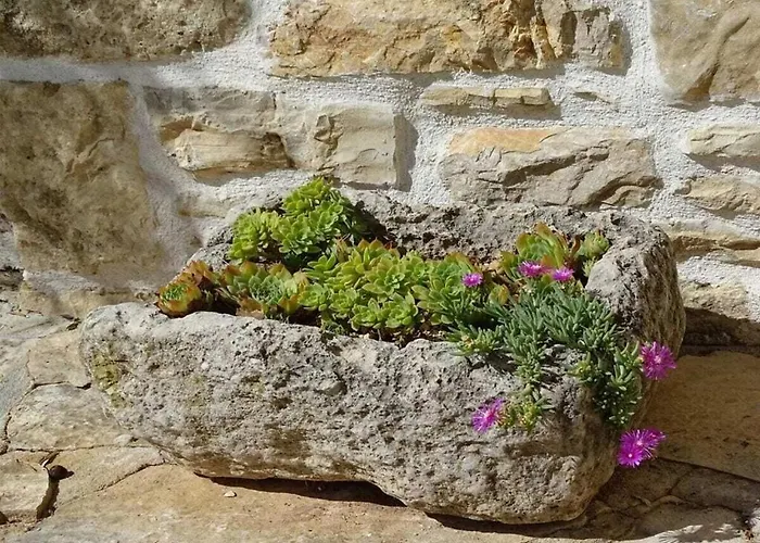 Σπίτι διακοπών Irena Comfortable Benkovac