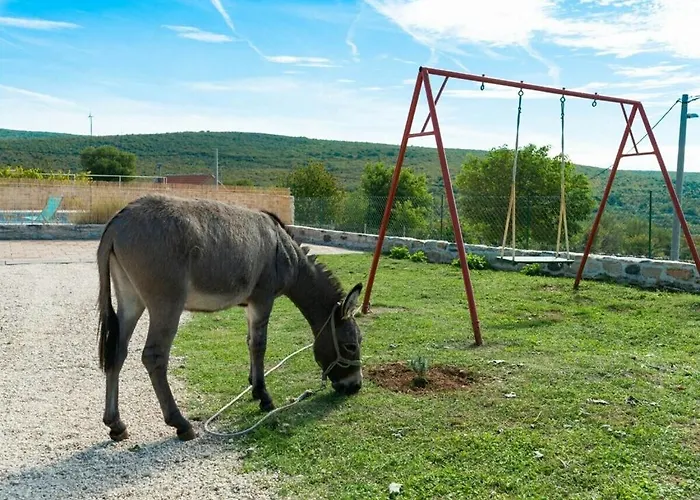 Irena Comfortable 別荘 ベンコヴァツ