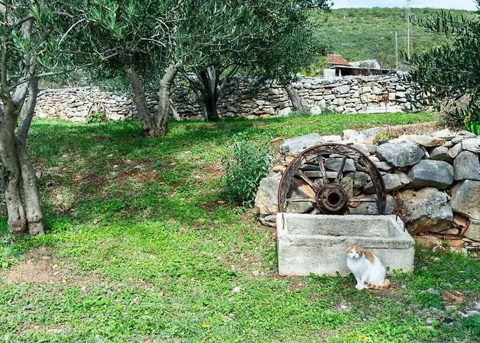 Irena Comfortable 別荘