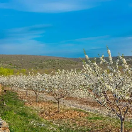 Vakantiehuis Irena Comfortable