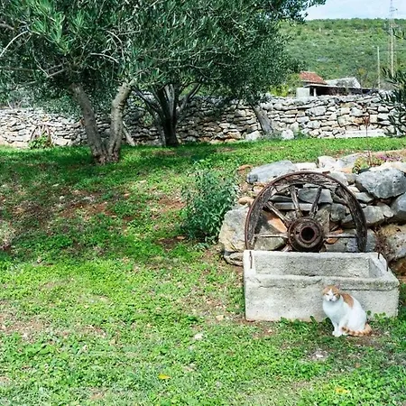 Irena Comfortable Holiday home